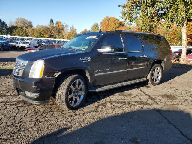 2012 Cadillac Escalade Esv Luxury for Sale in Portland, OR - Front End