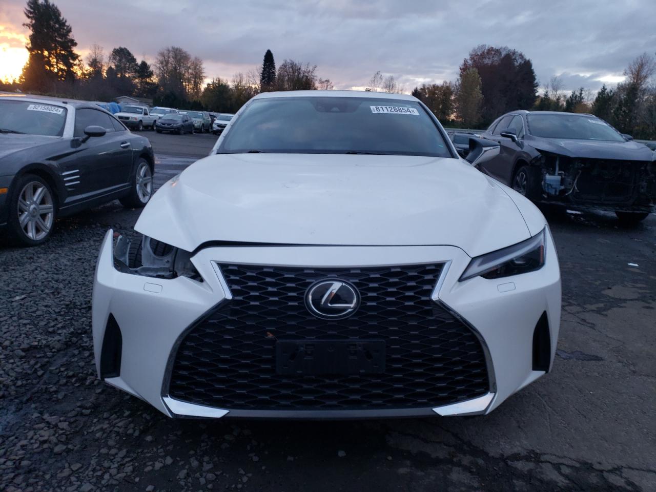 2021 Lexus IS - Image 5