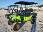 2023 Golf Cart Cart en Venta en Arcadia, FL - Water/Flood