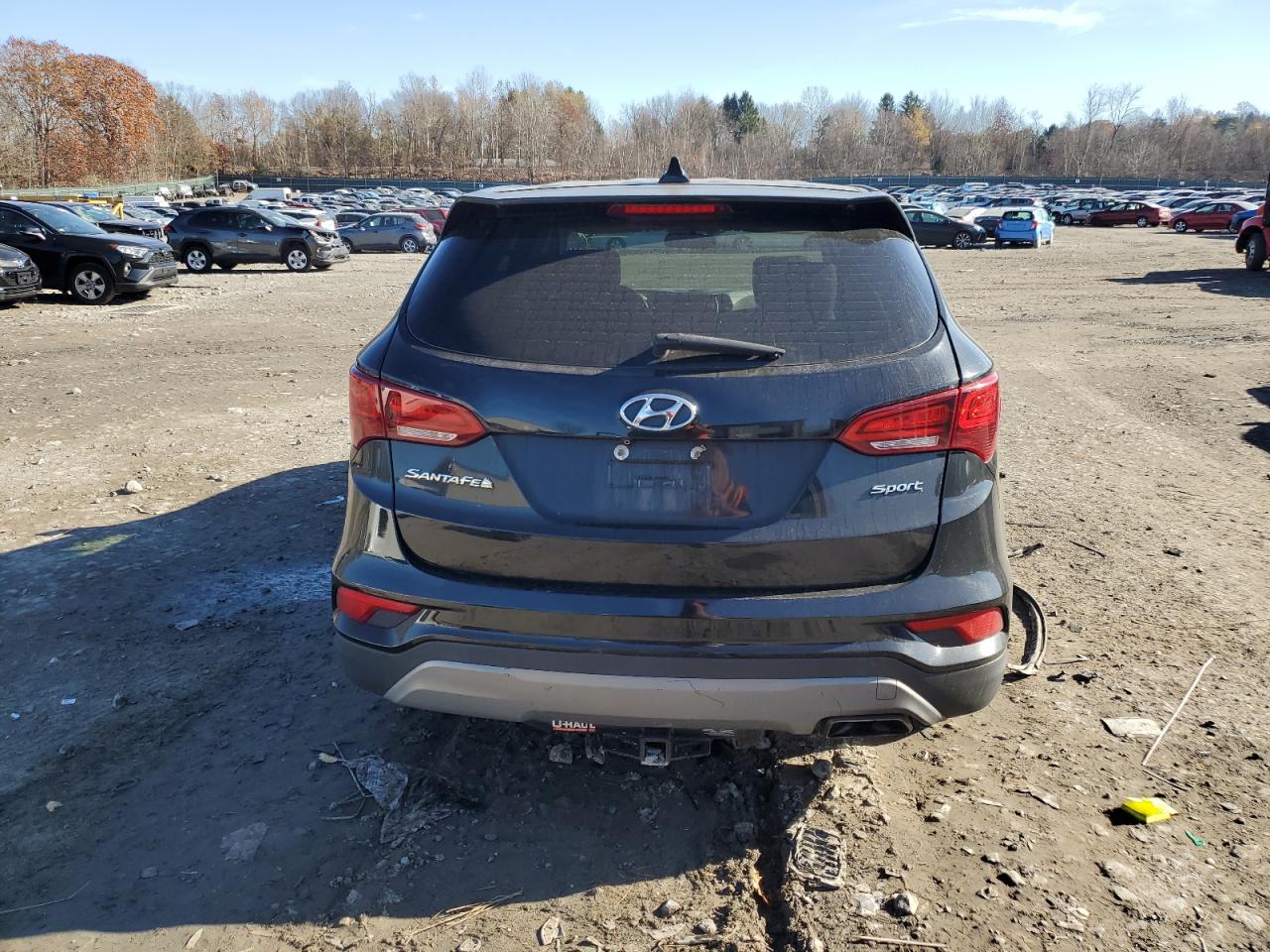 VIN 5XYZT3LB7HG420180 2017 HYUNDAI SANTA FE no.6