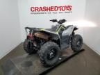 2019 POLARIS SCRAMBLER 850 for sale at Copart MN - MINNEAPOLIS NORTH
