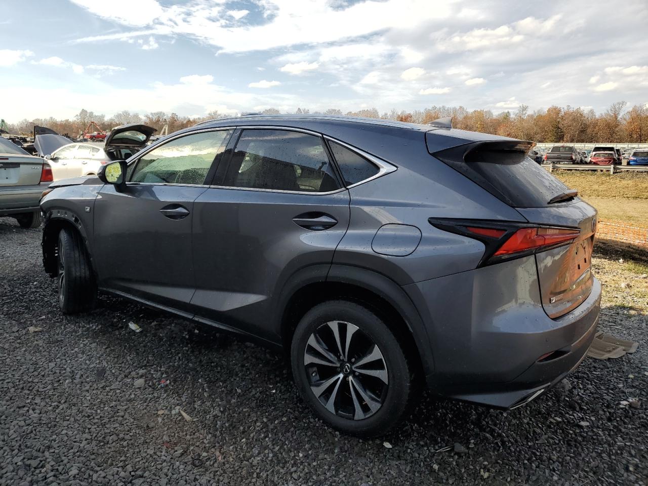 2019 Lexus Nx 300 Base VIN: JTJBARBZ5K2214265 Lot: 78822694