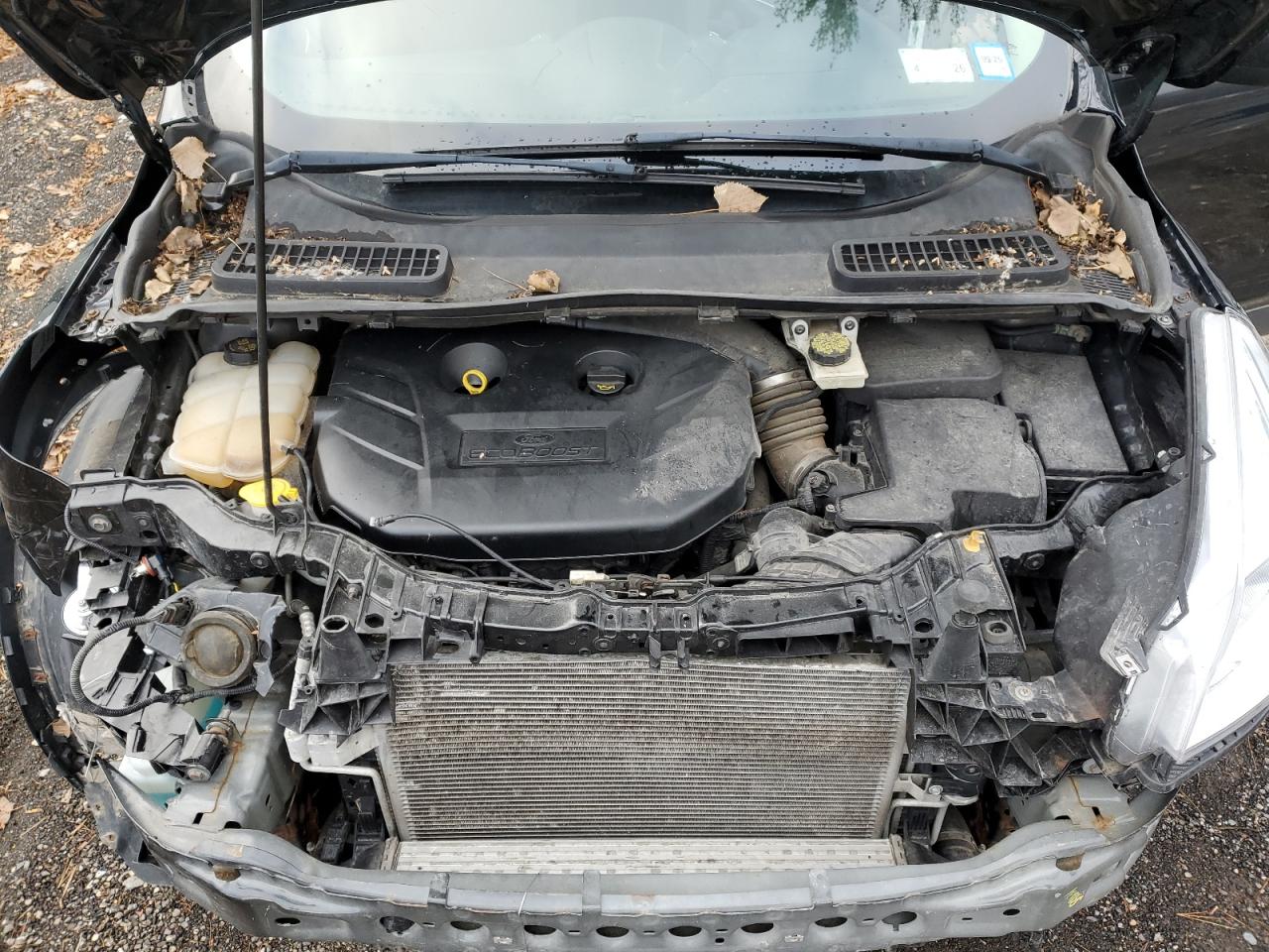 2014 Ford Escape - Image 12