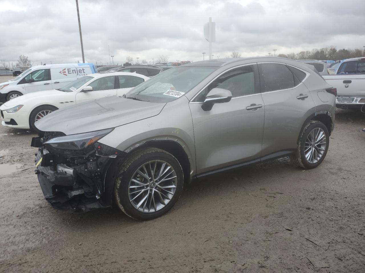2024 Lexus NX - Image 1