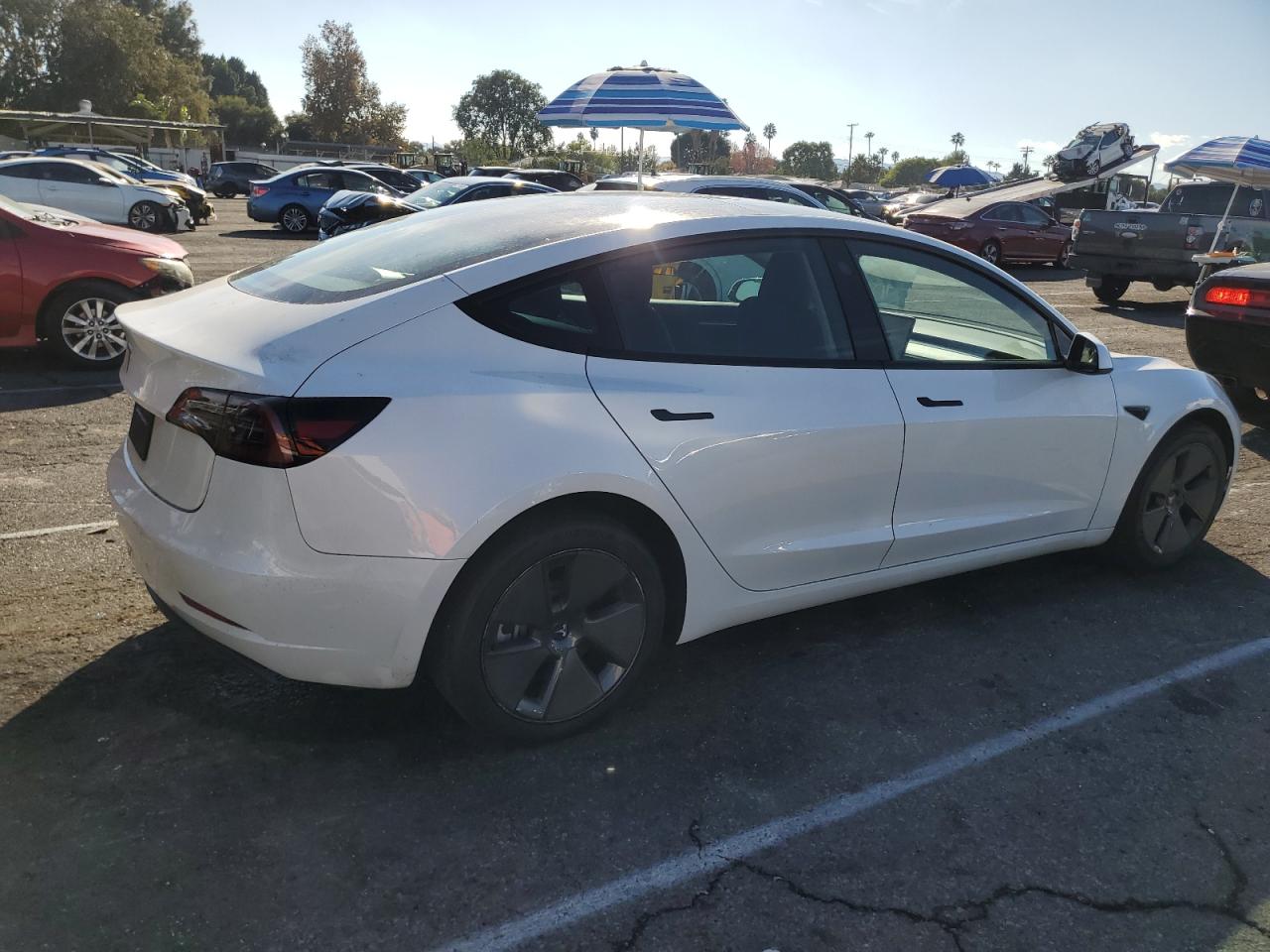 VIN 5YJ3E1EA6PF696817 2023 TESLA MODEL 3 no.3