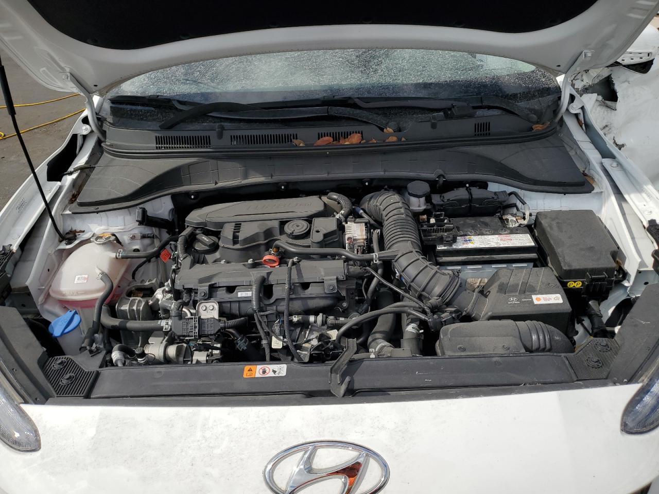 VIN KM8K53A34PU045574 2023 HYUNDAI KONA no.12