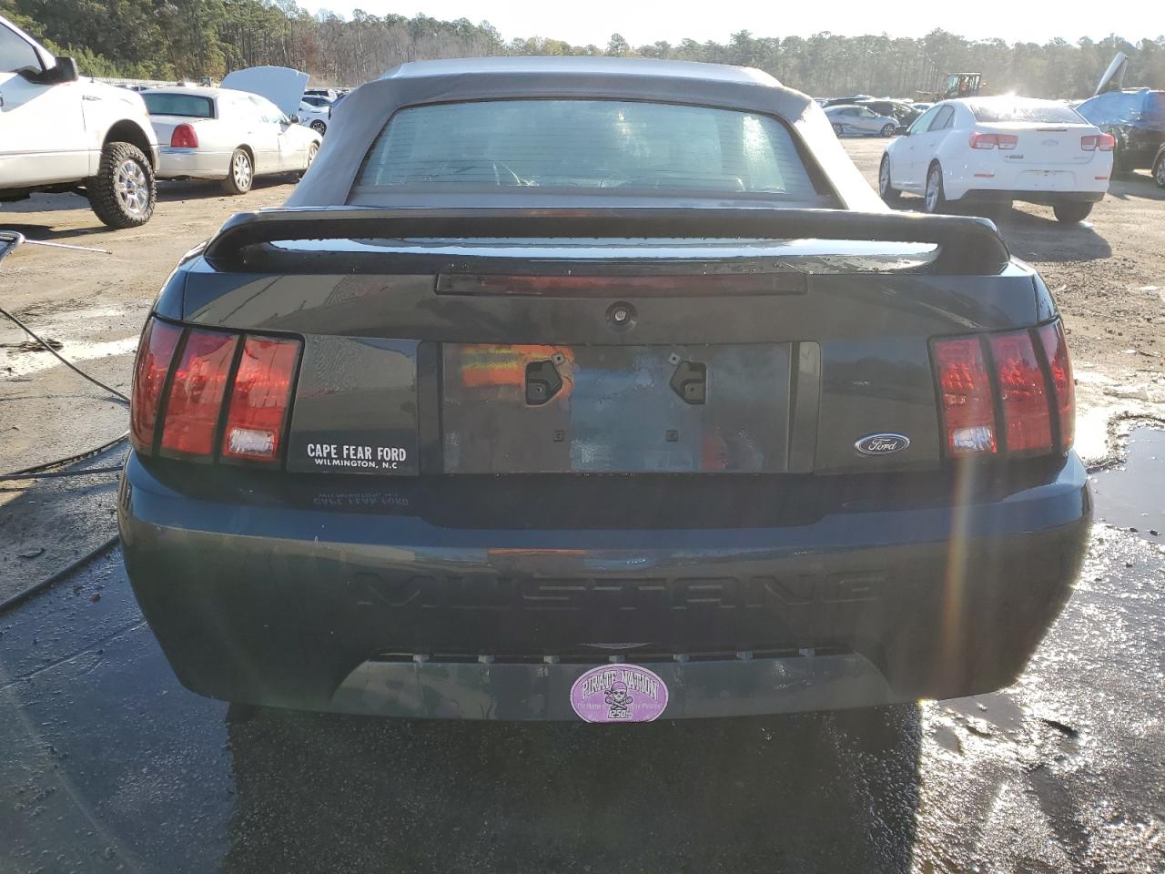 1999 Ford Mustang - Image 6