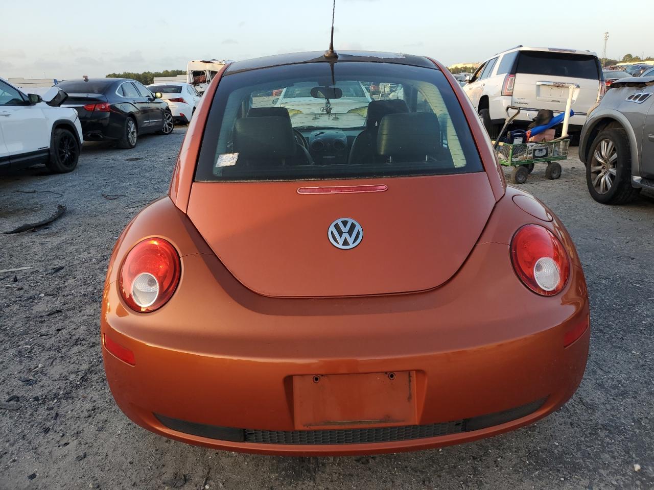 2010 Volkswagen New Beetle VIN: 3VWRW3AG8AM032953 Lot: 77869254