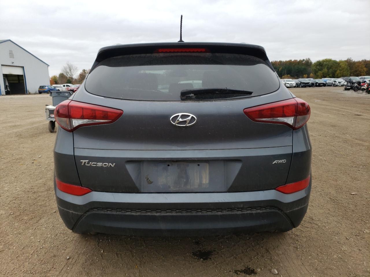 2017 Hyundai Tucson Limited VIN: KM8J3CA42HU412533 Lot: 78887714