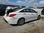 2014 Hyundai Sonata Se en Venta en Jacksonville, FL - Rear End