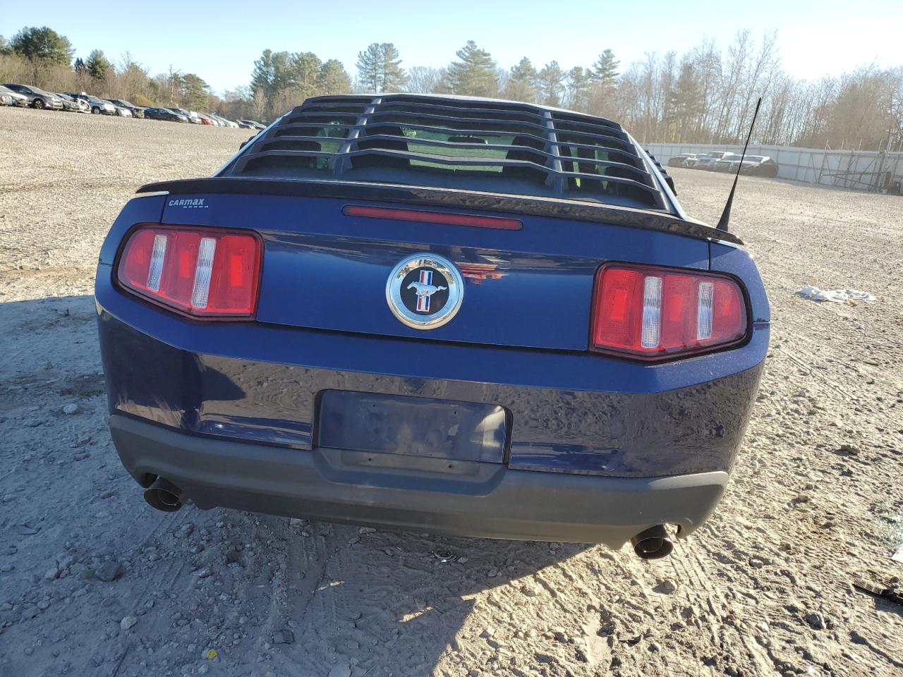 2011 Ford Mustang VIN: 1ZVBP8AMXB5118550 Lot: 81526824