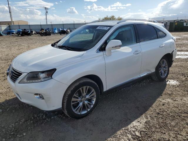  LEXUS RX450 2013 Белы