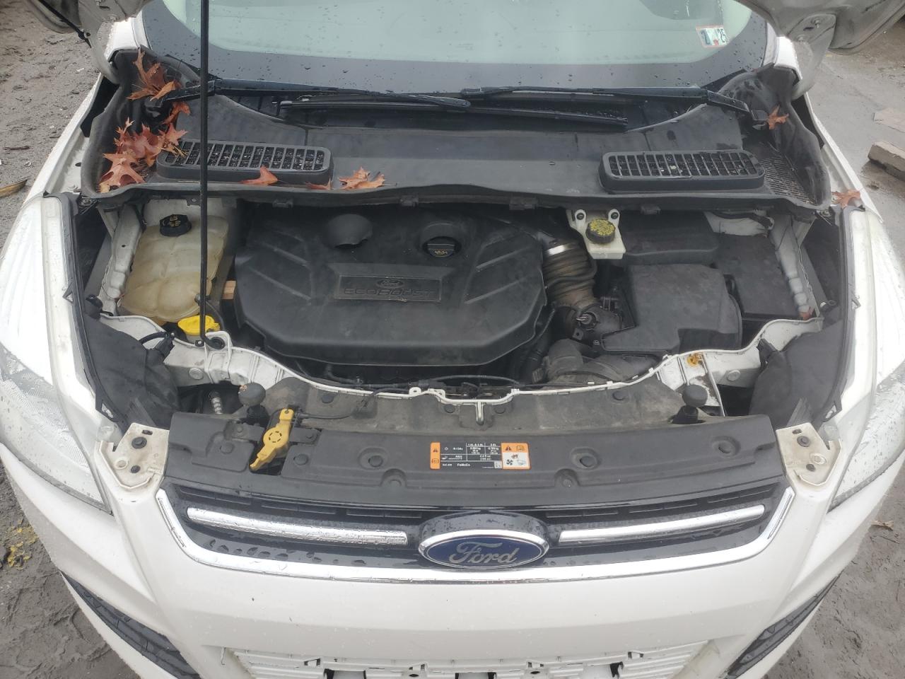 2014 Ford Escape - Image 12