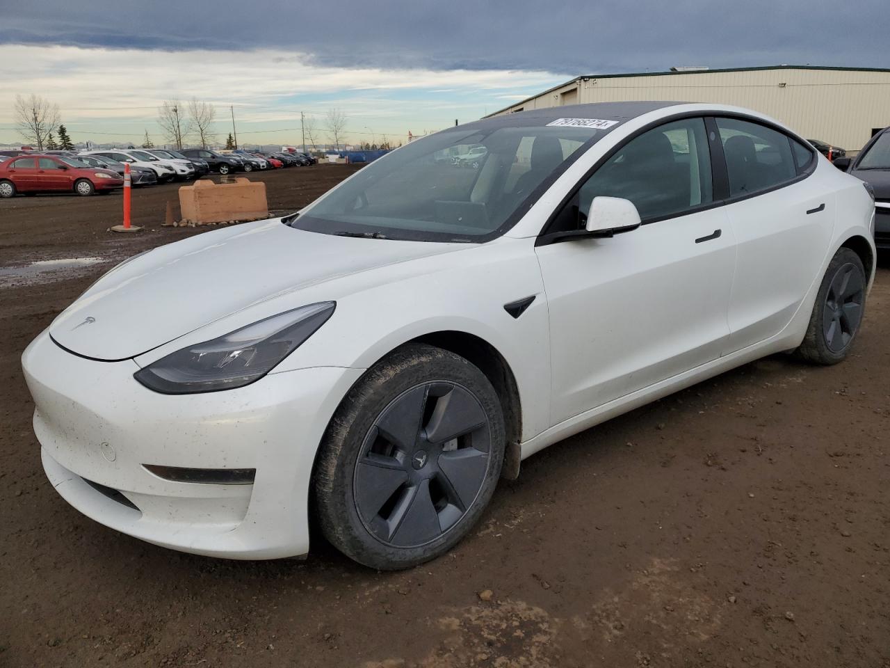 2023 Tesla Model 3  للبيع في Rocky View County، AB - Hail