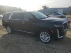 2021 Cadillac Escalade Esv Luxury for Sale in Hampton, VA - Rear End