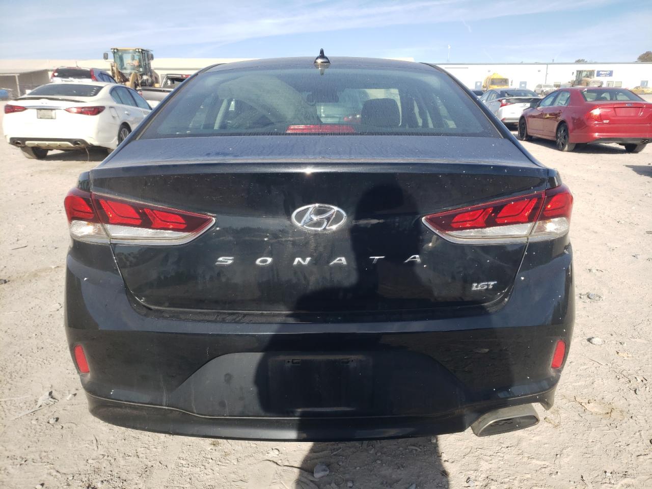 2019 Hyundai Sonata Eco Turbo VIN: 5NPE24AA2KH802313 Lot: 80336084