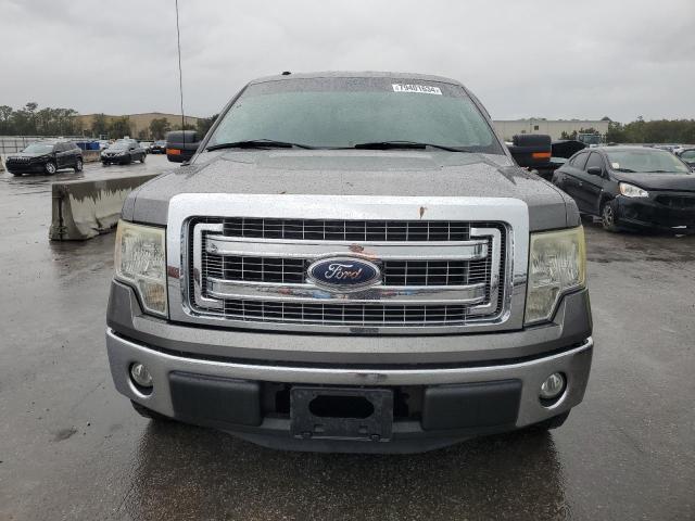 Pickups FORD F-150 2013 Gray