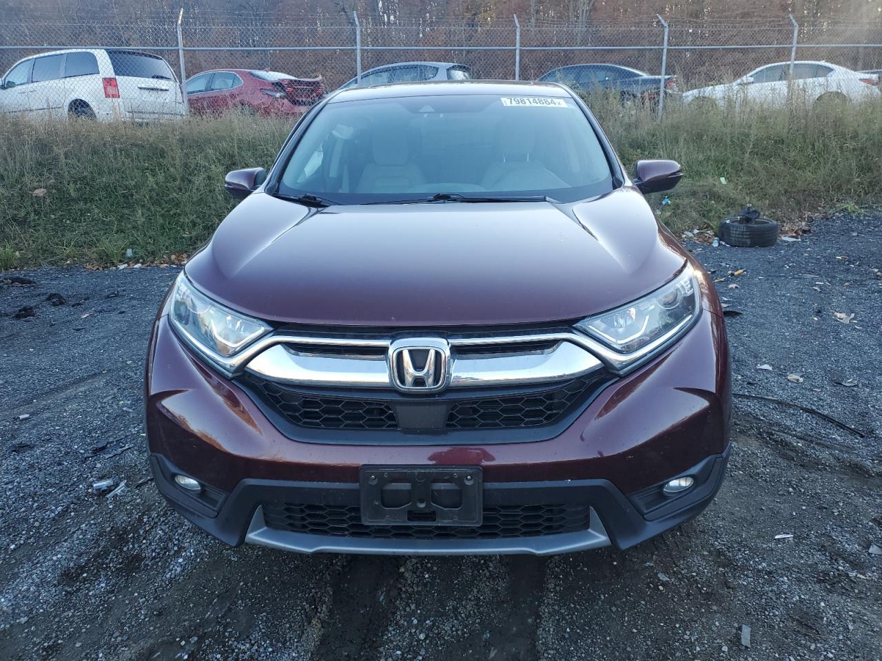 2019 Honda CR-V - Image 5
