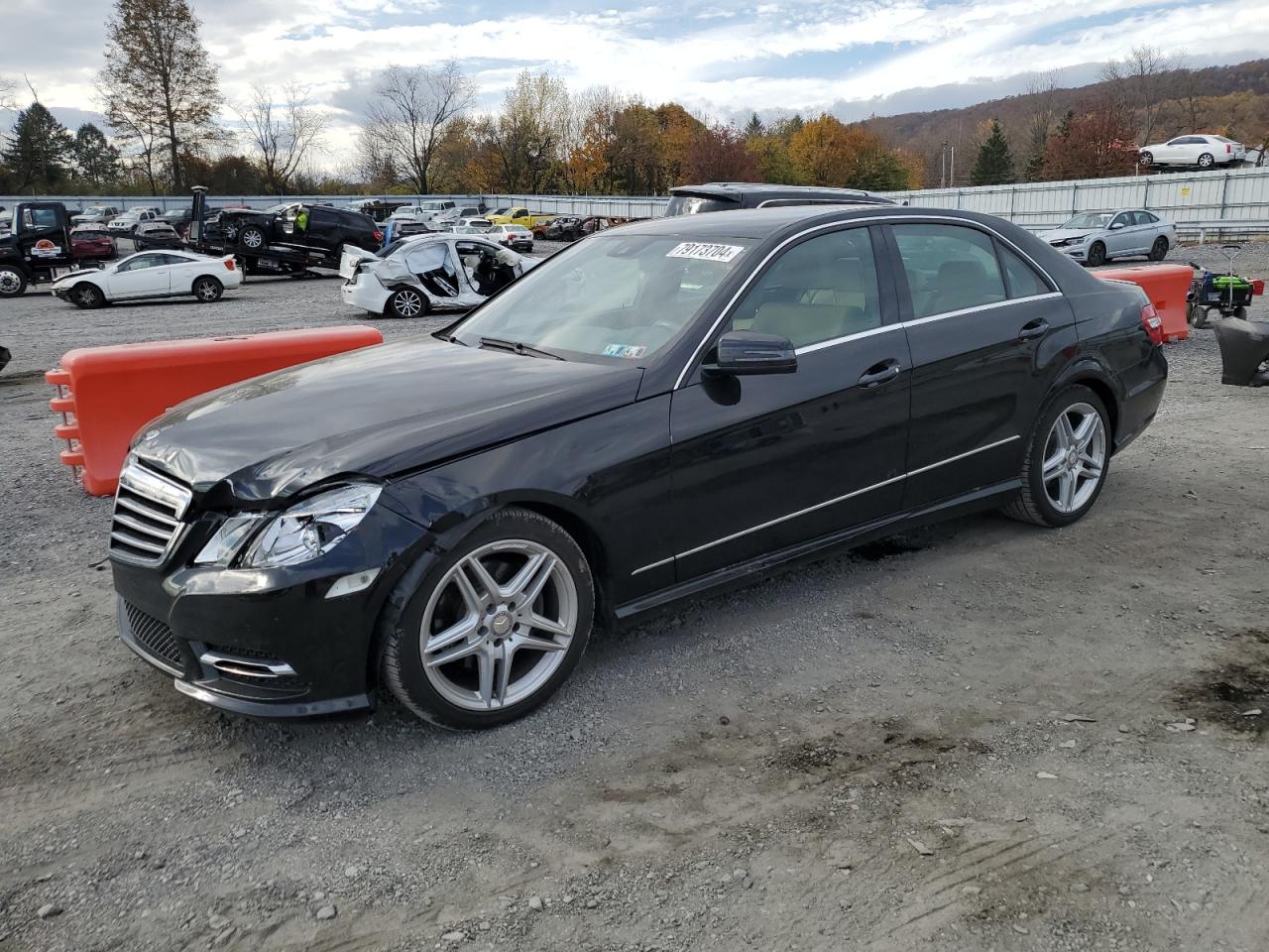 VIN WDDHF8JB3DA707387 2013 MERCEDES-BENZ E-CLASS no.1