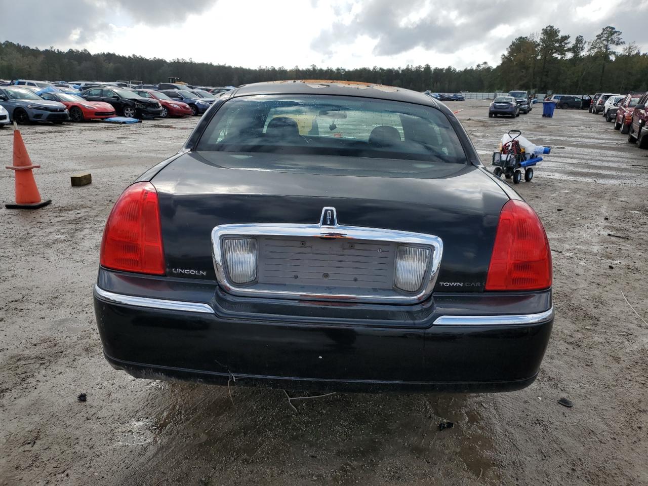 2009 Lincoln Town Car Signature Limited VIN: 2LNHM82VX9X606916 Lot: 78745314