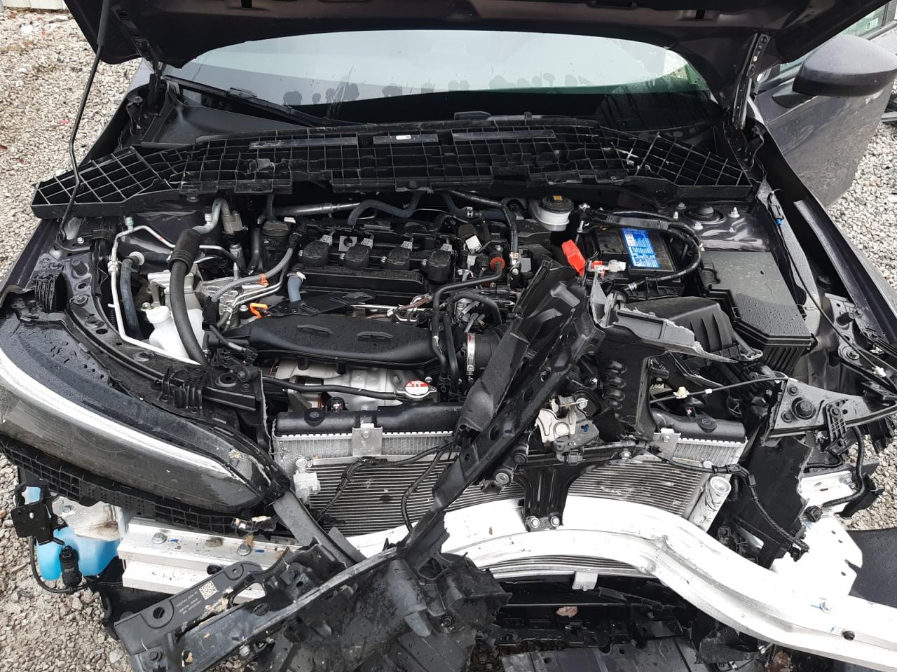 2024 Honda Civic - Image 11