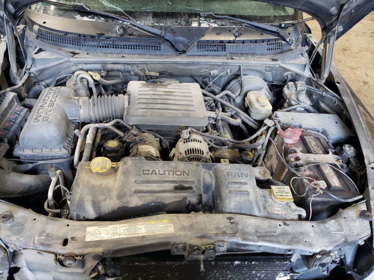 2003 Dodge Dakota - Image 11