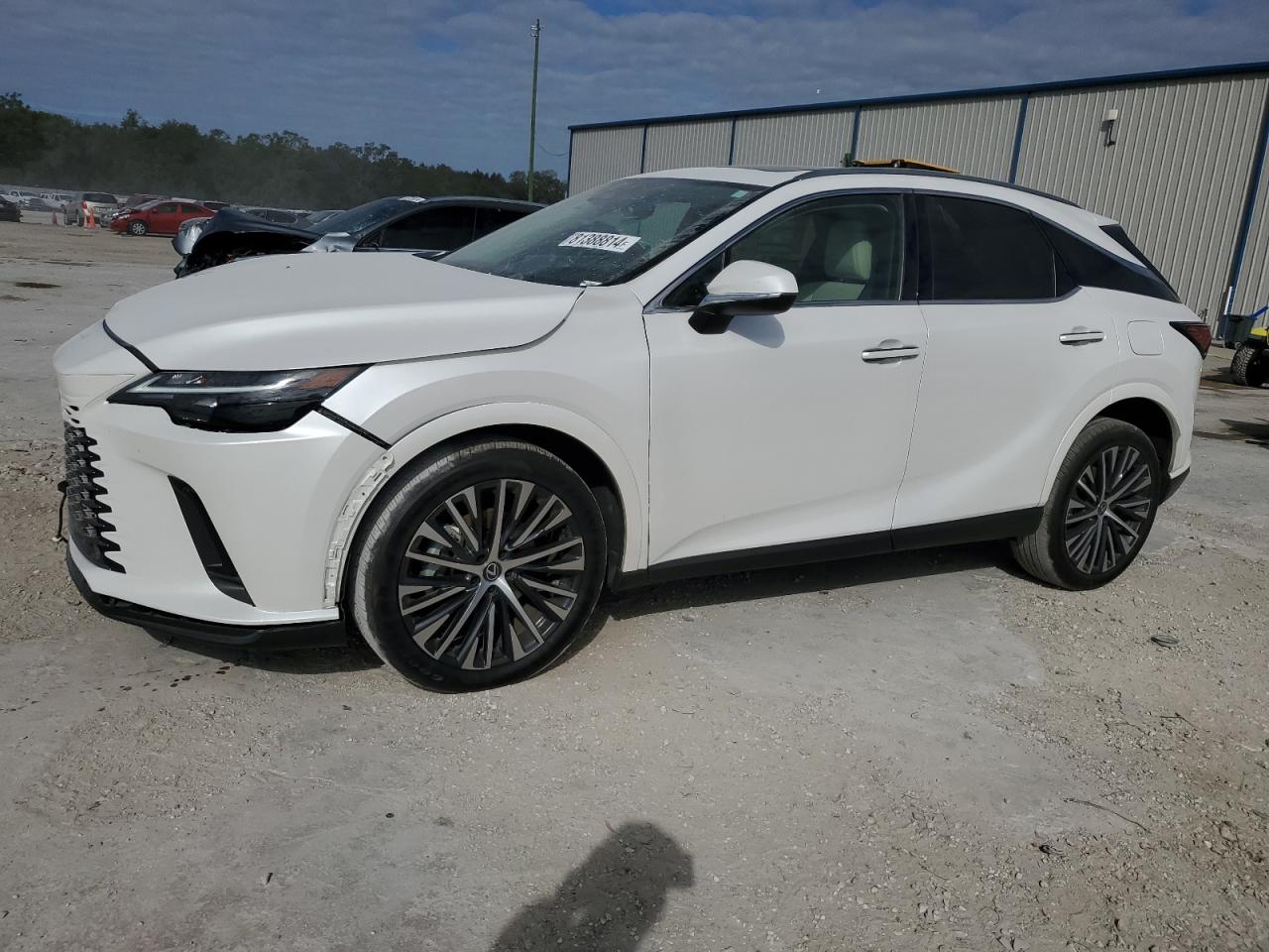 2023 Lexus RX - Image 1