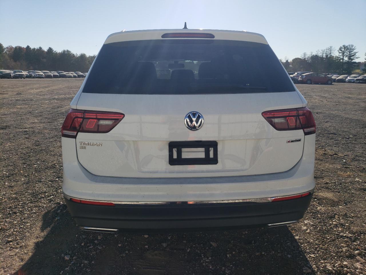 2020 Volkswagen Tiguan Se VIN: 3VV2B7AXXLM127591 Lot: 79476864