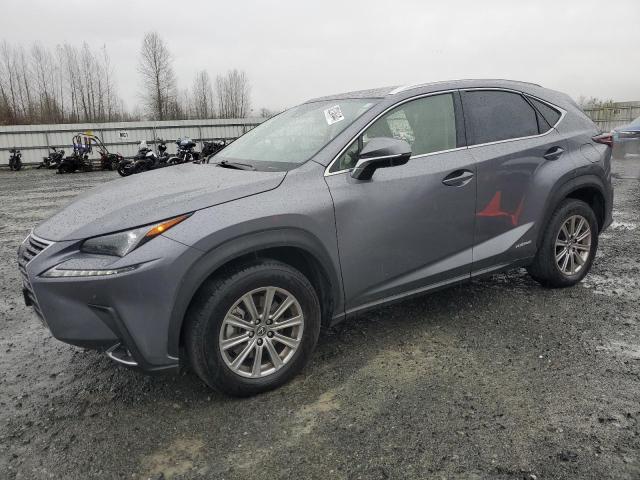  LEXUS NX 2021 Серый