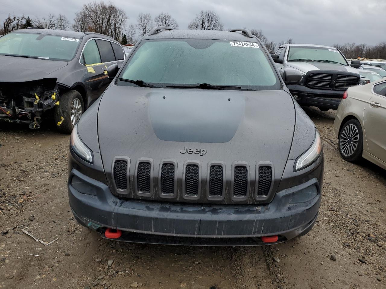 2014 Jeep Cherokee Trailhawk VIN: 1C4PJMBS8EW171875 Lot: 79424844