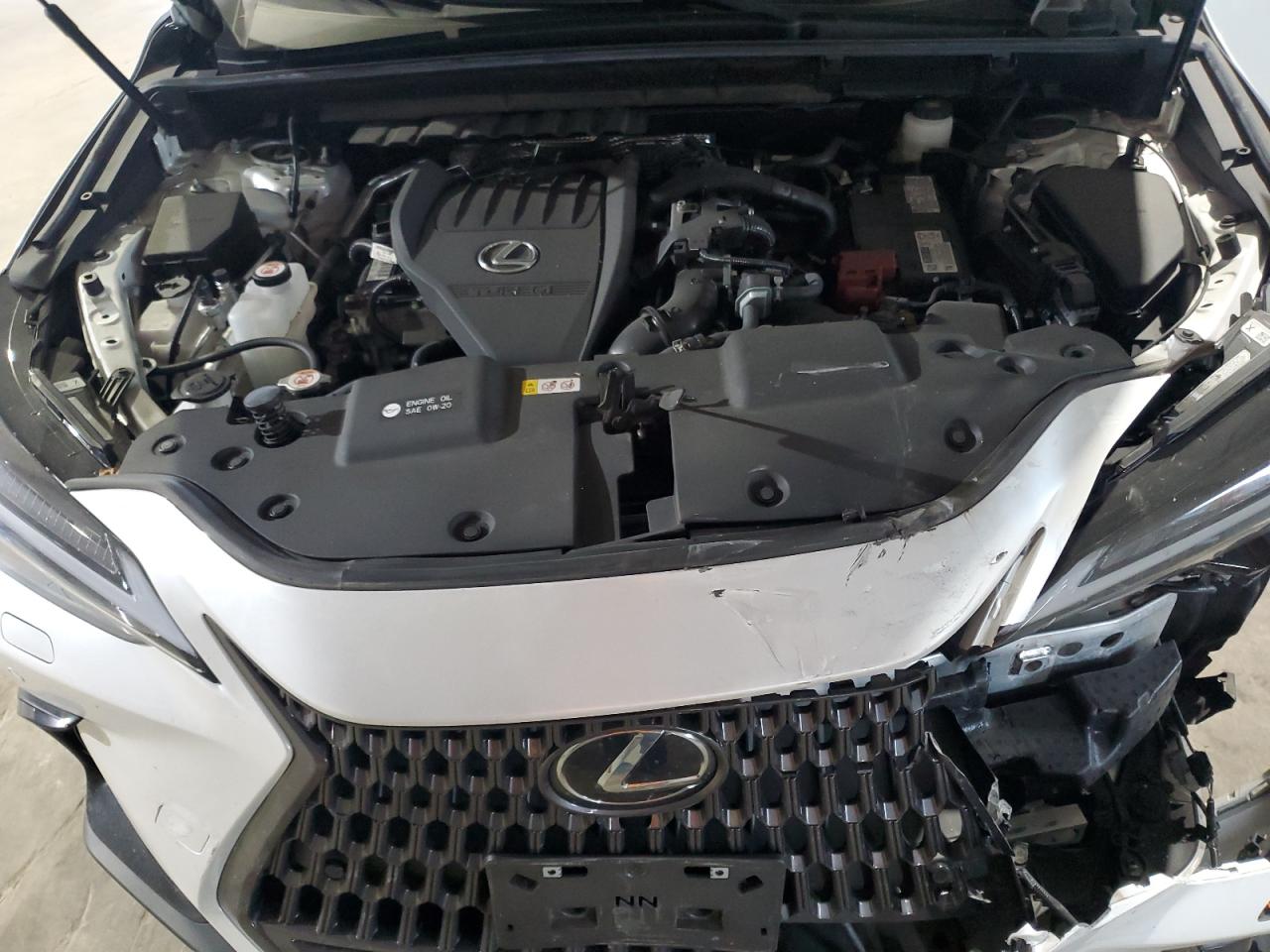 2024 Lexus Nx 350 Luxury VIN: 2T2HGCEZ1RC032641 Lot: 78961404