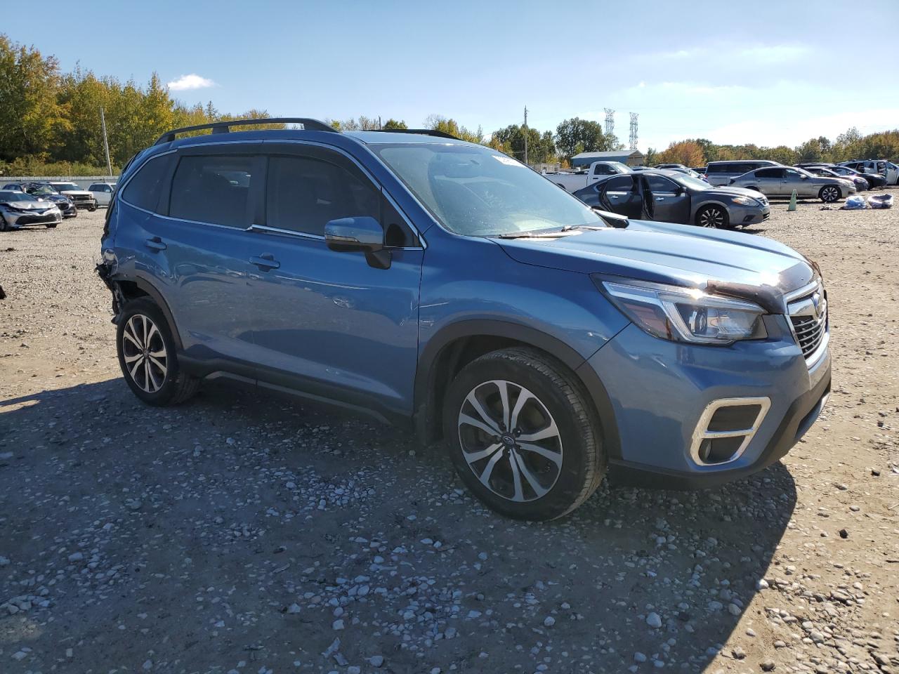 2019 Subaru Forester Limited VIN: JF2SKASC8KH583651 Lot: 80898324