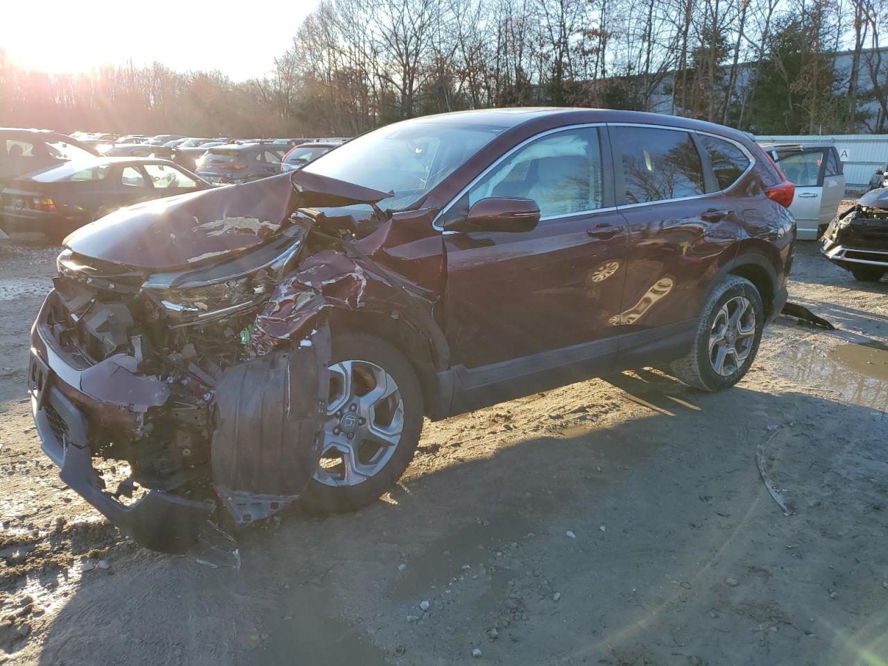 2019 HONDA CRV