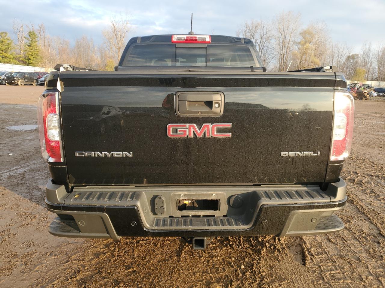 2019 GMC Canyon Denali VIN: 1GTG6EEN6K1309161 Lot: 81618084