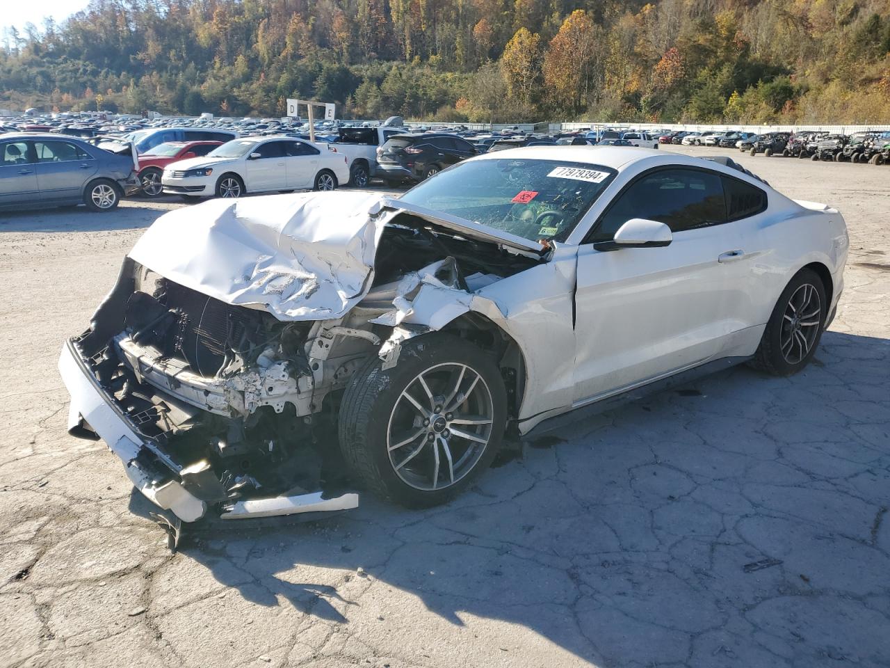2017 Ford Mustang - Image 1