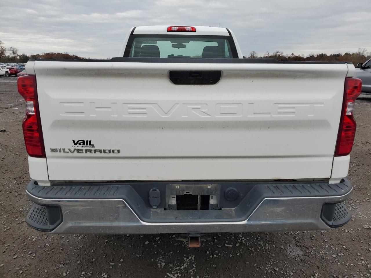 2020 Chevrolet Silverado C1500 VIN: 3GCNWAEF1LG416405 Lot: 80951584