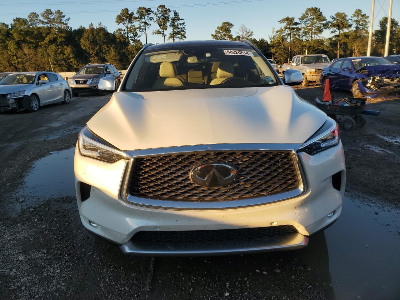 2021 Infiniti QX50 - Image 5
