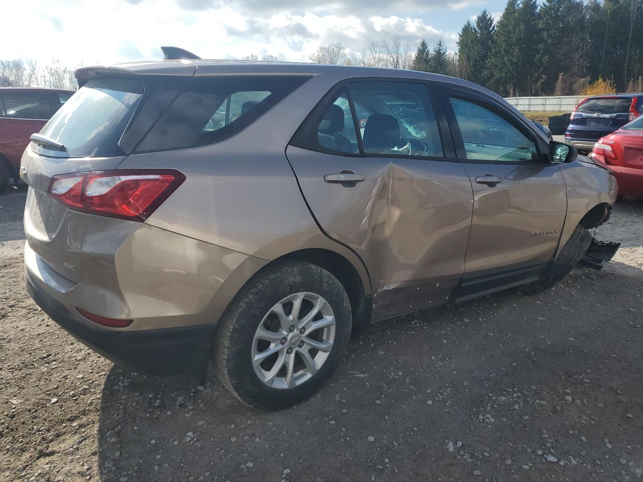 2019 Chevrolet Equinox Ls VIN: 2GNAXSEV0K6206713 Lot: 80918564