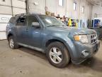 2010 Ford Escape Xlt de vânzare în Ham Lake, MN - All Over