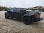 2013 Ford F150 Supercrew en Venta en Charles City, VA - Rear End