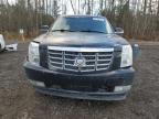 2011 CADILLAC ESCALADE ESV PREMIUM for sale at Copart ON - COOKSTOWN