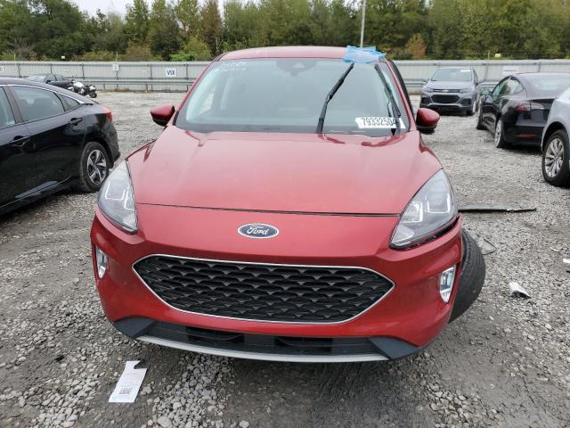  FORD ESCAPE 2022 Czerwony