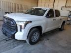 2024 Toyota Tundra Crewmax Sr   en Venta en Abilene, TX - Side