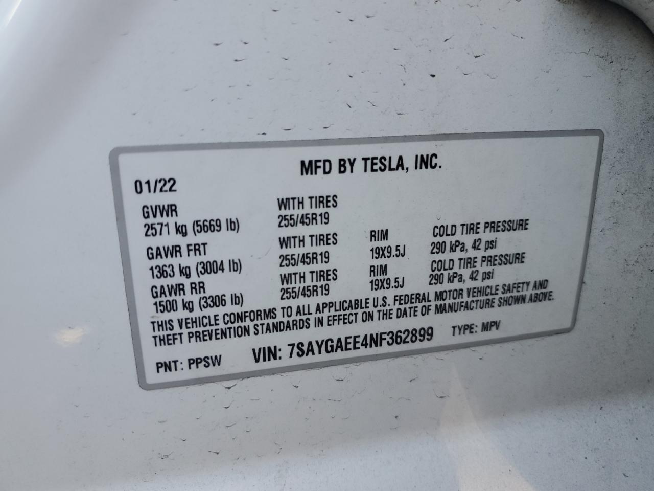 2022 Tesla Model Y VIN: 7SAYGAEE4NF362899 Lot: 80015564