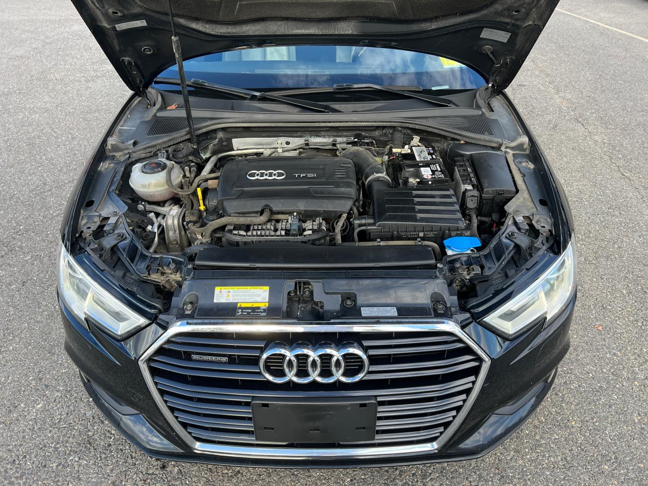 2019 Audi A3 Premium VIN: WAUBEGFF5K1021922 Lot: 80429484