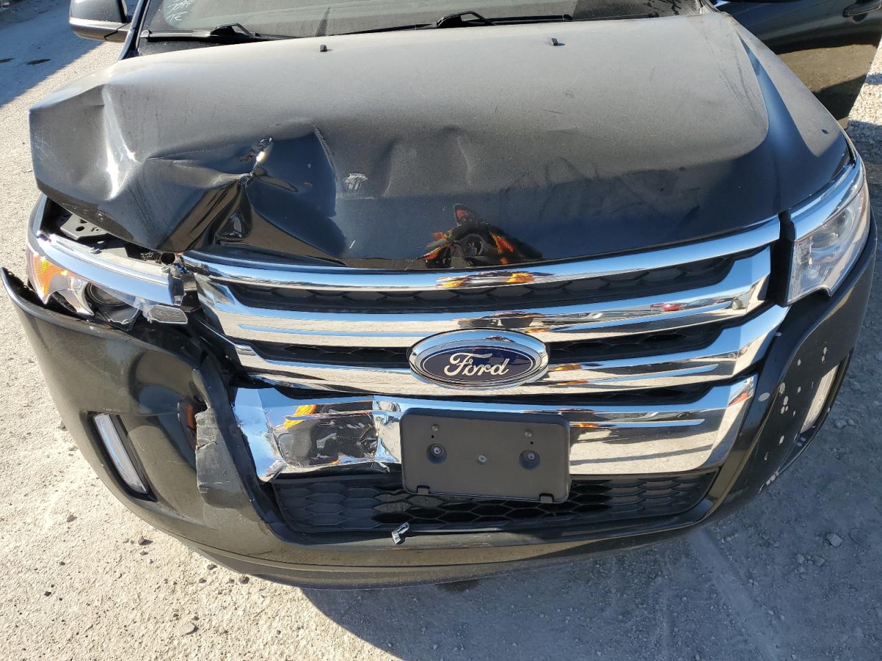2011 Ford Edge - Image 14
