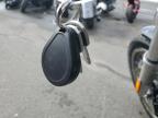 2024 HARLEY-DAVIDSON FXST  for sale at Copart NY - LONG ISLAND