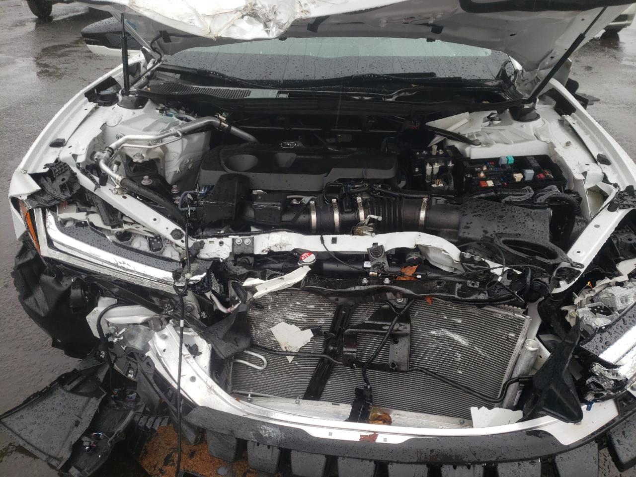 2023 Acura Tlx Technology VIN: 19UUB5F42PA002499 Lot: 81745434