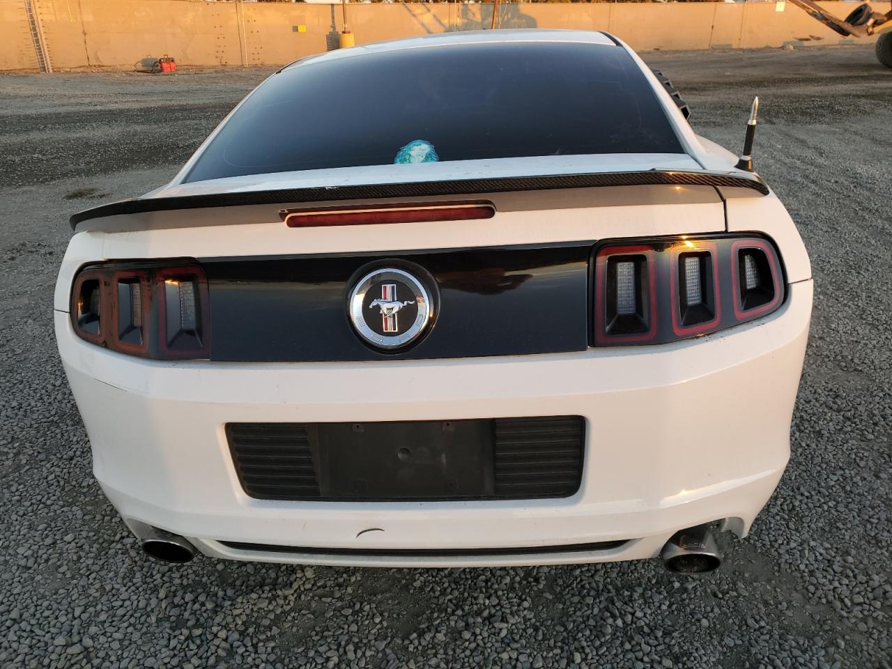 2013 Ford Mustang VIN: 1ZVBP8AM1D5269599 Lot: 82421234