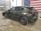 2023 Lexus Nx 350 იყიდება Columbia-ში, MO - Front End